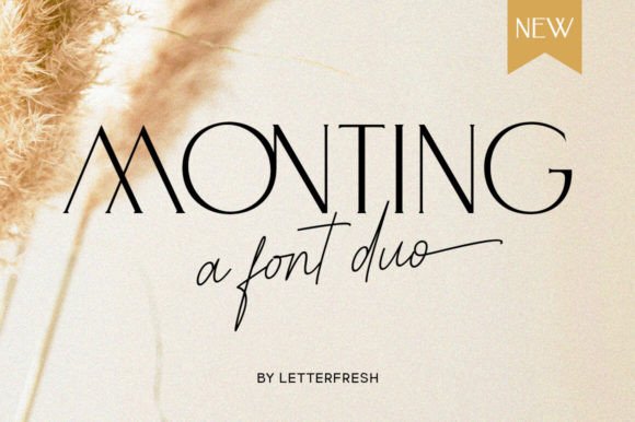 Monting Duo: Crafting Modern Elegance in Your Designs